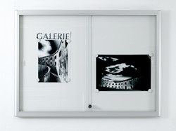 Informatiekast 1954x34x998 schuifruiten met slot 