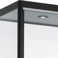 Vitrinekasten 1 draaideur 200 x 50 x 50 cm-2