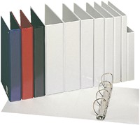 Presentatieringband Esselte panorama A4 4-rings D-mechaniek 20mm PP blauw-2