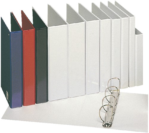 Presentatieringband Esselte panorama A4 4-rings D-mechaniek 20mm PP blauw-2