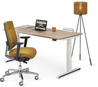 Flex3+ elektrisch- zit-sta-bureau-5.jpg
