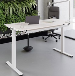 Palmberg Crew Solitair Zit-sta bureau