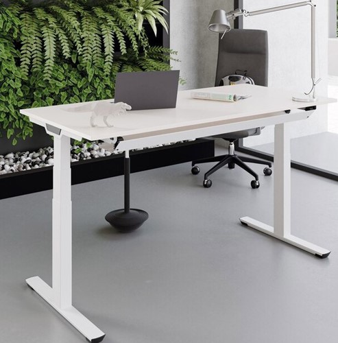 Palmberg Crew Solitair Zit-sta bureau